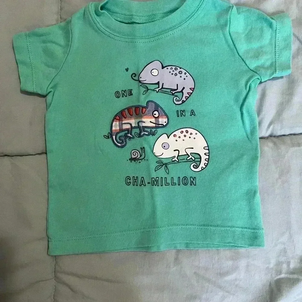 Baby Boy Infant Short Sleeve Chameleon Outfit Tops T-Shirt and short (Size 9M)